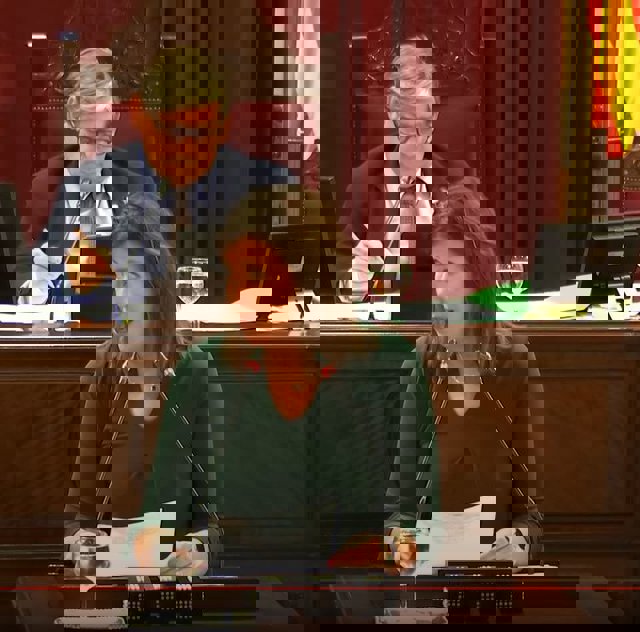 La consellera de Salud y Consumo, Patricia Gómez, en el Parlament.