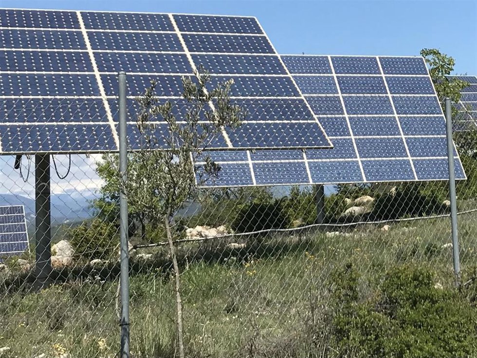 Archivo - Placas solares en Aragón.