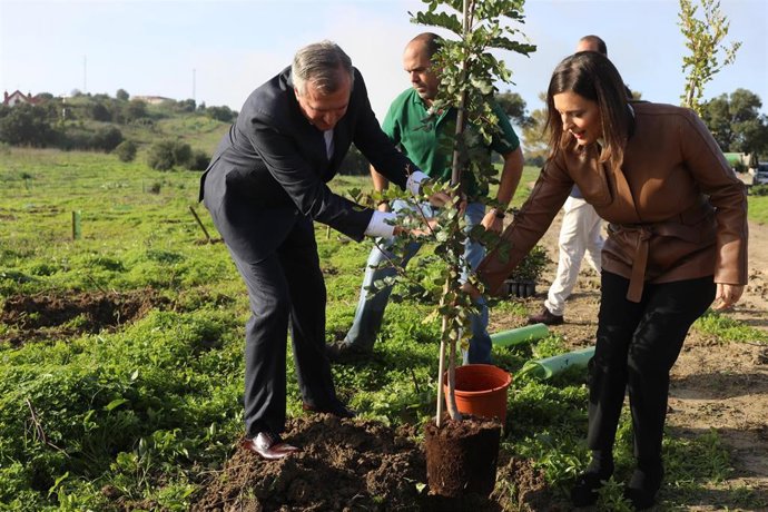 Nota Y Foto Ayuntamiento Y Navantia Plantan En El Cerro Los Árboles Del Primer Bosque Para Compensar La Huella De Carbono De La Provincia De Cádiz