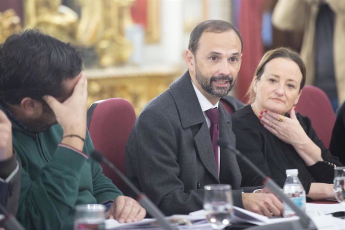 El responsable del Área de Servicios Económicos, Víctor Mora, intervindiendo en el pleno de la Diputación de Cádiz