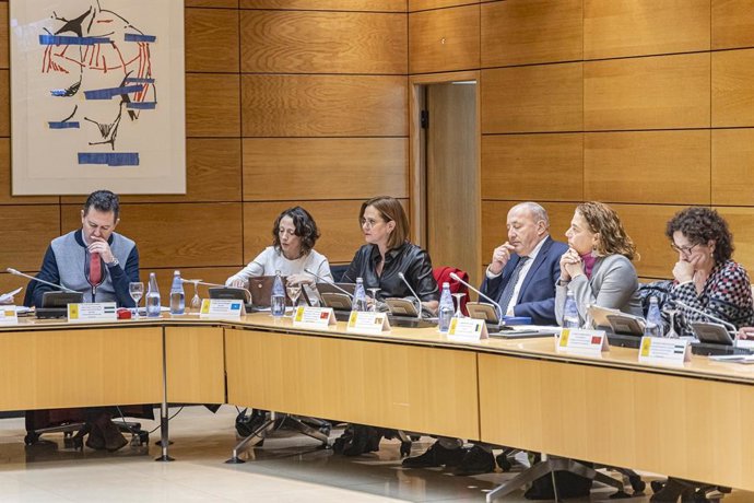 La vicepresidenta y consejera, Isabel Franco, en la reunión del Consejo Territorial de Servicios Sociales y del Sistema para la Autonomía y Atención a la Dependencia que se ha celebrado en Madrid