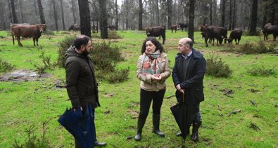 Galicia Rural