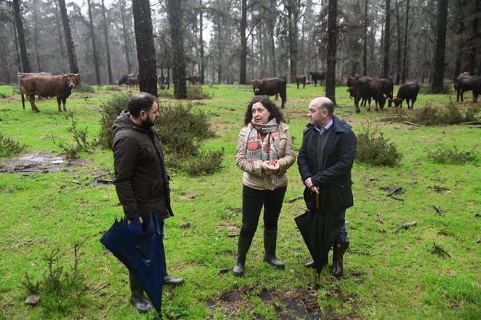 La directora xeral de Patrimonio Natural, Belén do Campo.