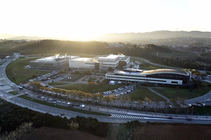 Archivo - Boehringer Ingelheim España.