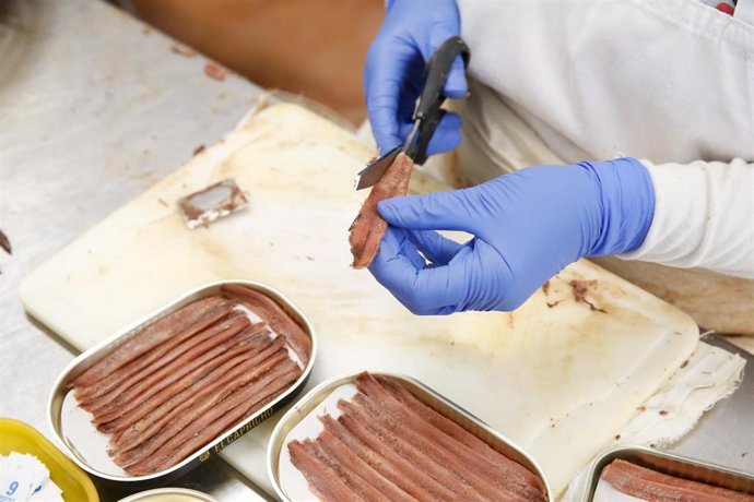 Archivo - Industria conservera