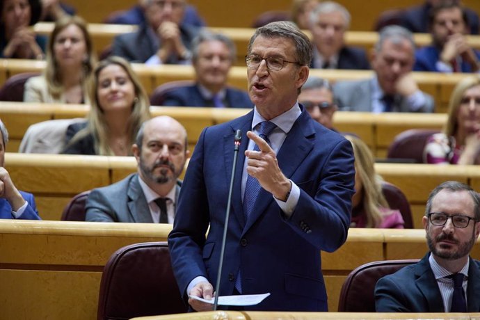 El líder del Partido Popular, Alberto Núñez Feijóo, durante una sesión de control al Gobierno en el Senado, a 21 de diciembre de 2022, en Madrid (España).  El presidente del Gobierno, Pedro Sánchez, y el líder del PP, Alberto Núñez Feijóo, celebran este