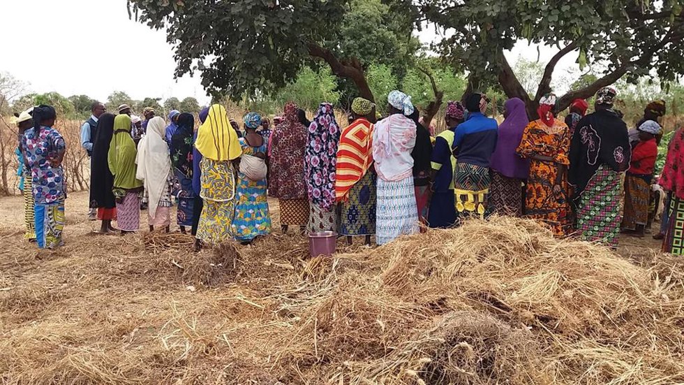Un proyecto para mejorar el acceso a agua y alimentación en Senegal gana una convocatoria del Grupo Tragsa