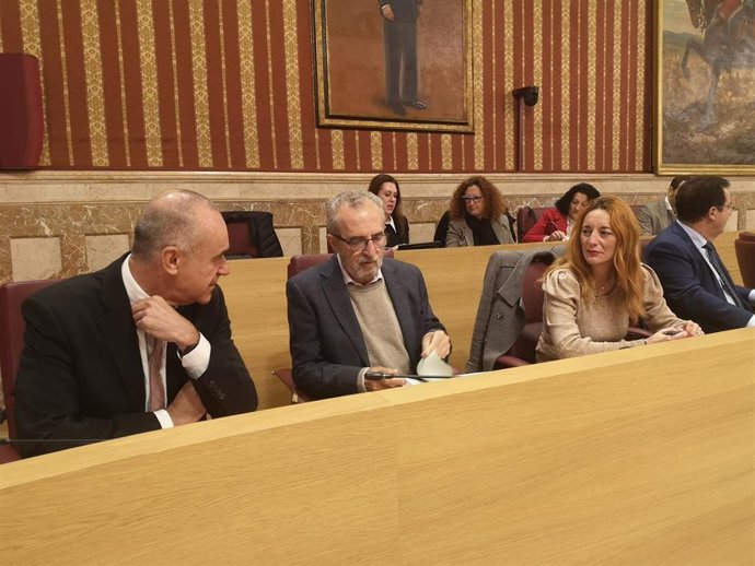 Momento del pleno del Ayuntamiento hispalense