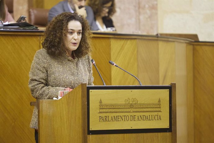 La portavoz del Grupo Por Andalucía, Inmaculada Nieto, durante la primera jornada del Pleno del Parlamento andaluz en el Parlamento de Andalucía, a 21 de diciembre de 2022 en Sevilla (Andalucía, España). En la séptima sesión del Pleno, de esta XII Legis