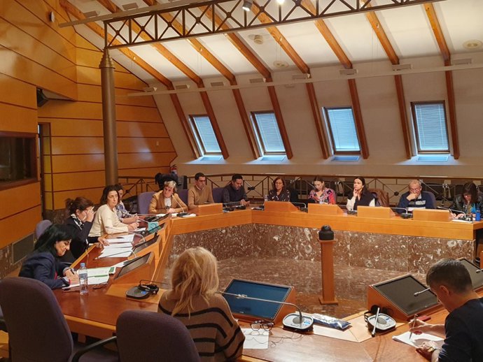 Comisión de Euskera, Cultura y Deporte