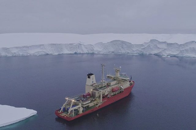 Braco frente a un frente de hielo en la costa antártica