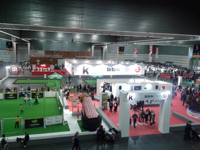 Archivo - PIN 2015 en Bilbao Exhibition Centre (BEC)