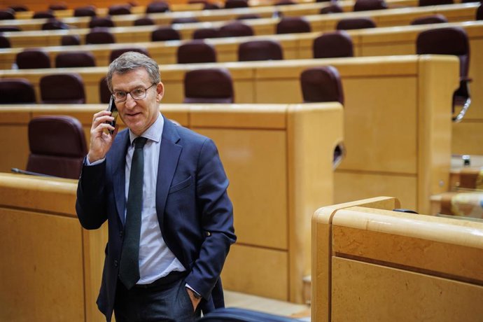 El presidente del Partido Popular (PP), Alberto Núñez Feijóo, durante una sesión plenaria en el Senado, a 22 de diciembre de 2022, en Madrid (España). 