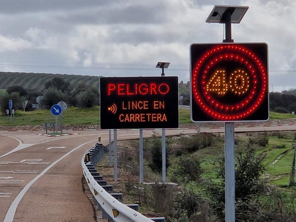 Sistema para evitar atropellos de linces