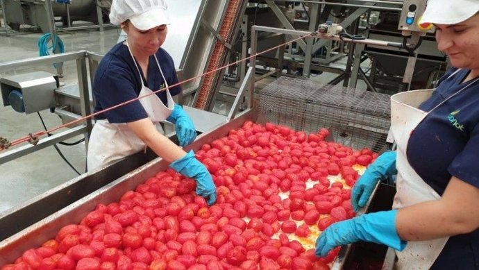 Industria de tomate