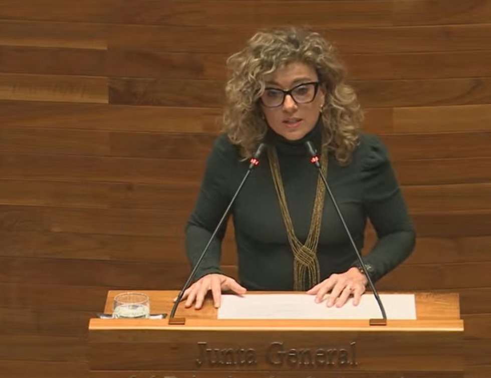 La portavoz de Ciudadanos en la Junta, Susana Fernández