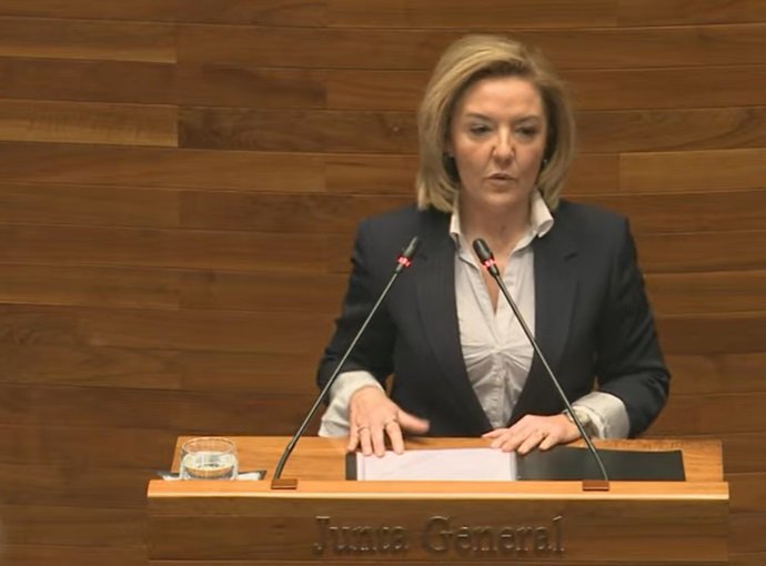 La portavoz del PP en la Junta General, Teresa Mallada