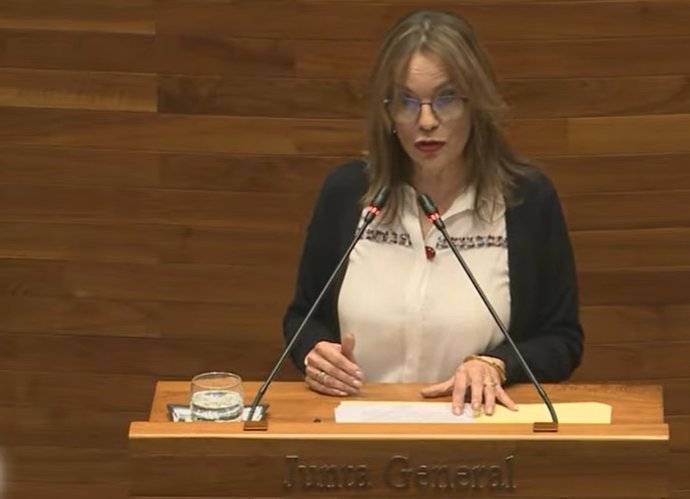 La portavoz de IU en la Junta General, Ángela Vallina