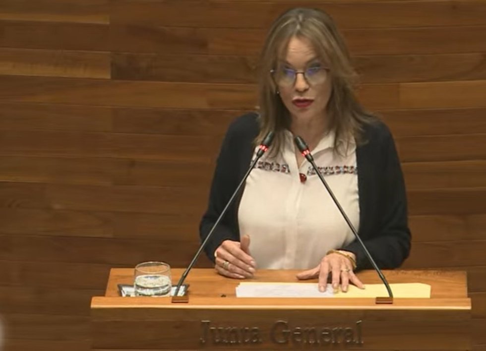 La portavoz de IU en la Junta General, Ángela Vallina