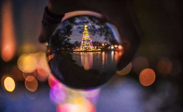 November 28, 2017 - SÃO Paulo, SÃ£o Paulo, Brazil - SAO PAULO SP, SP 11/28/2017 CHRISTMAS TREE: Families enjoy the Christmas tree in the Ibirapuera Park in Sao Paulo. A tourist attraction at the end of the year in Sao Paulo.