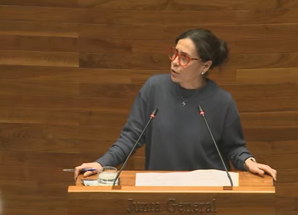 La portavoz del PSOE en la Junta General, Dolores Carcedo
