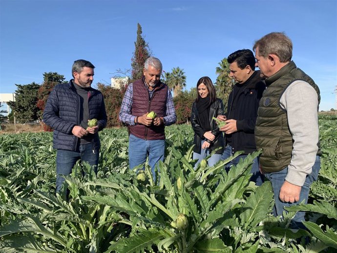 El consejero Antonio Luengo y el alcalde de San Javier, José Miguel Luengo, durante su visita a una finca de alcachofas del municipio.
