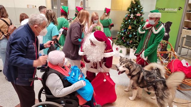 Papá Noel visita a los pacientes de Quirónsalud Málaga en un trineo guiado por sus perros