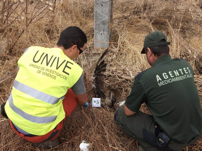 Agentes medioambientales investigan un envenenamiento de aves.