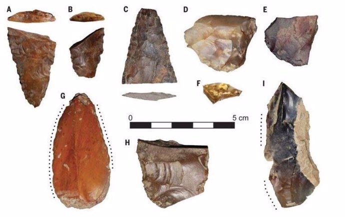 Fragmentos de piedra tallados para la caza y la pesca que se han encontrado en el yacimiento de Cooper s Ferry