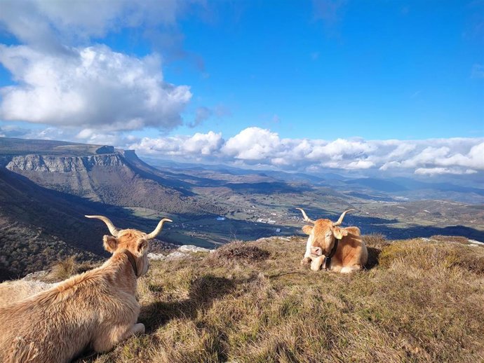 Jornada con nubes y claros en el Valle de Ayala (Álava)