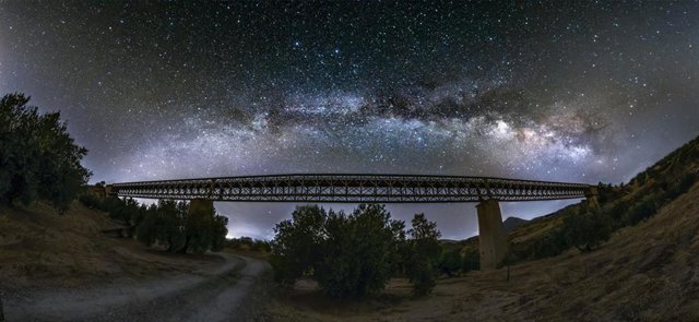 Javier Cámara, Alba Jiménez, Francisco López y Jorge García ganan el Premio de la Vía Verde del Aceite.
