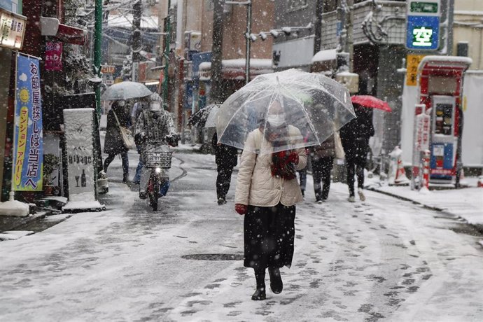 Nevadas en Tokio, Japón.