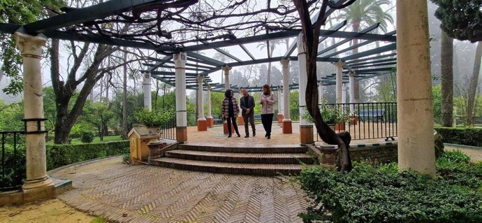 Real Alcázar. Nota De Prensa Y Fotografía.