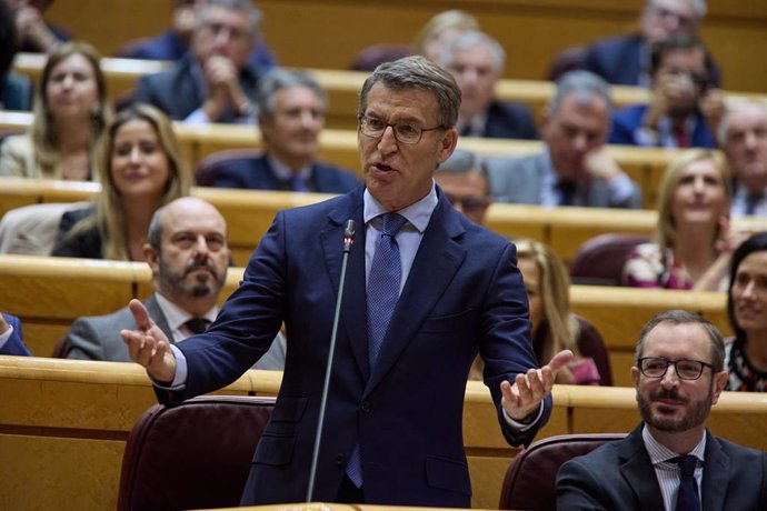 El líder del Partido Popular, Alberto Núñez Feijóo, durante una sesión de control al Gobierno en el Senado, a 21 de diciembre de 2022, en Madrid (España).  