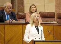 Vox afea a la Junta su rechazo a enmiendas al Presupuesto para "eliminar políticas ideológicas de género" en educación