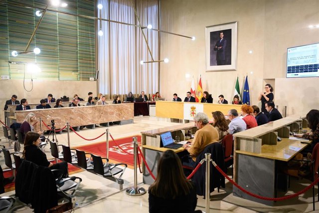 Pleno del Ayuntamiento de Almería.