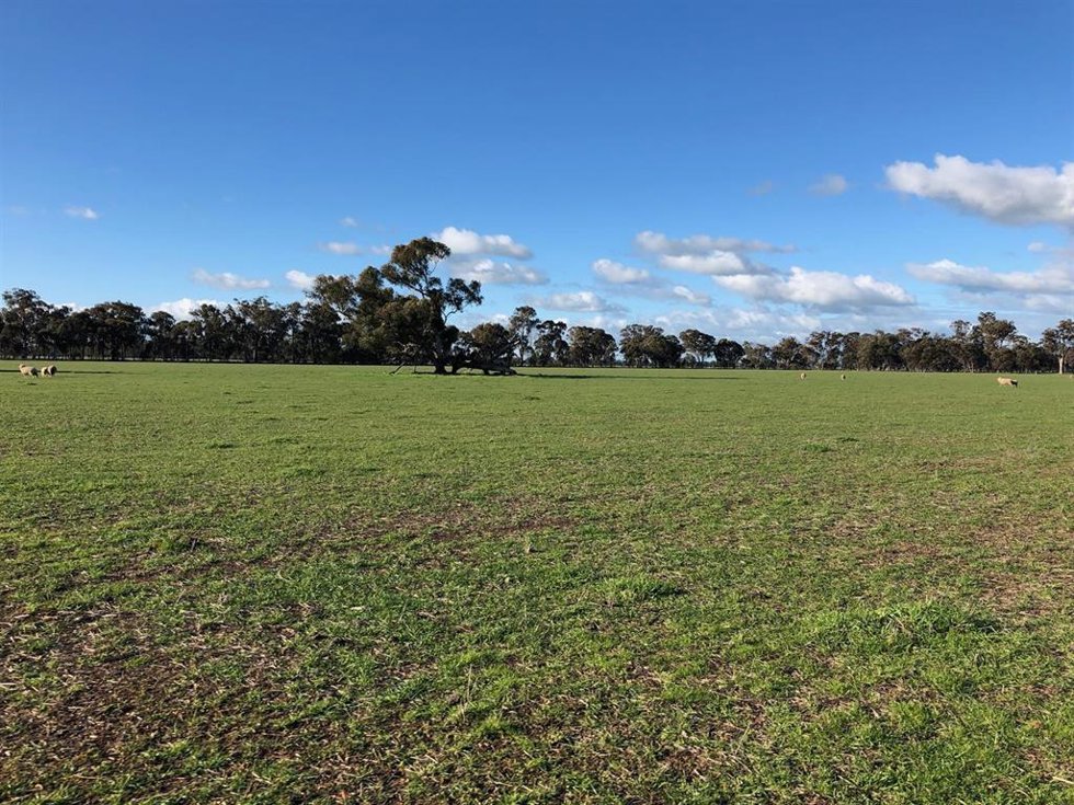 Ubicación de la nueva planta solar de GRS y FRV en Nueva Gales del Sur (Australia).