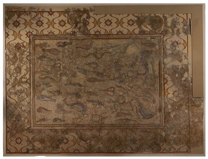 Mosaic dels Peixos' del MNAT