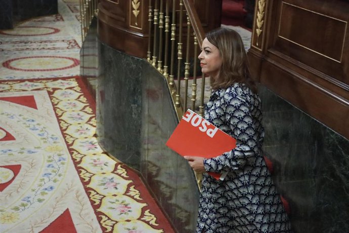 La diputada nacional y portavoz de los socialistas canarios en el Congreso, Tamara Raya