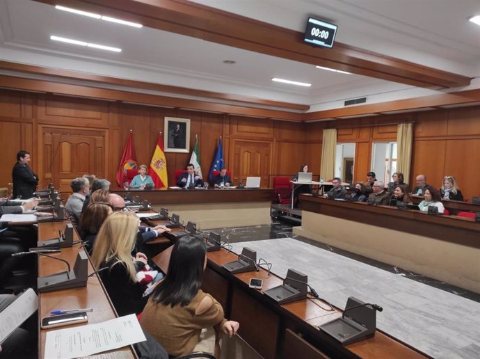 Un momento del Pleno del Ayuntamiento de Córdoba.