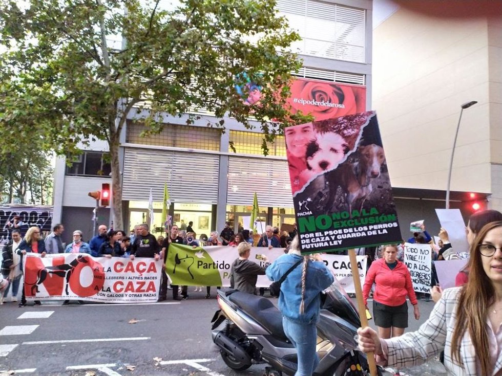 Archivo - Manifestación de PACMA.