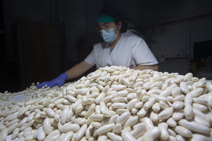 Archivo - e0b0b838458cefcc43b5065f5ebf2afa.jpg