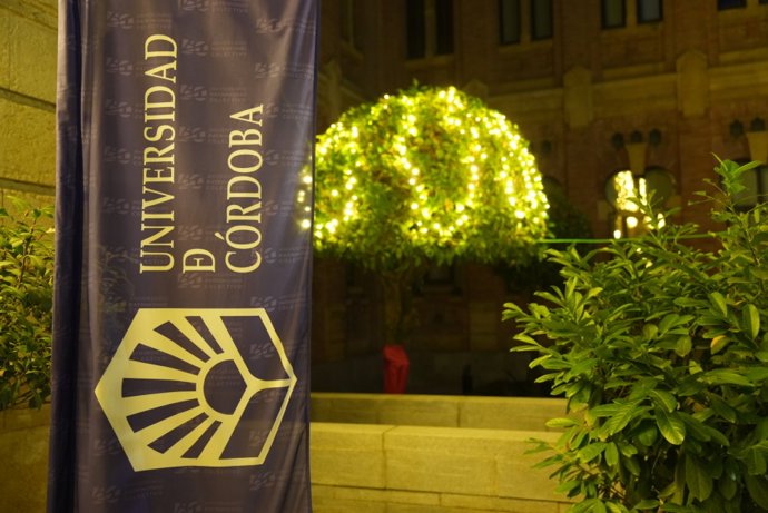 El Rectorado de la UCO con iluminación navideña.