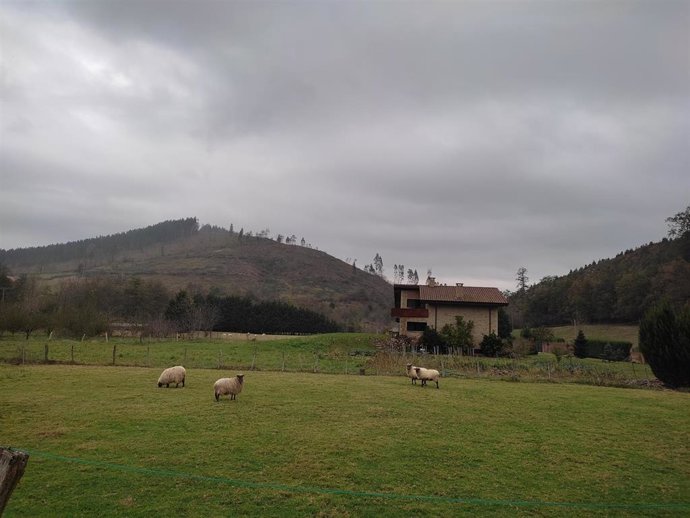 Jornada lluviosa en Bizkaia