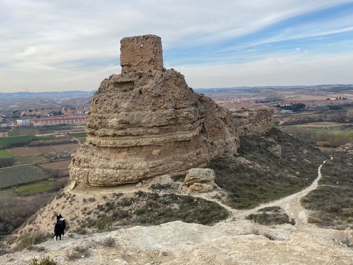 Castillo de María de Huerva del siglo X