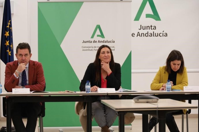 La consejera de Inclusión Social, Juventud, Familias e Igualdad, Loles López, en el pleno del Consejo de Servicios Sociales de Andalucía