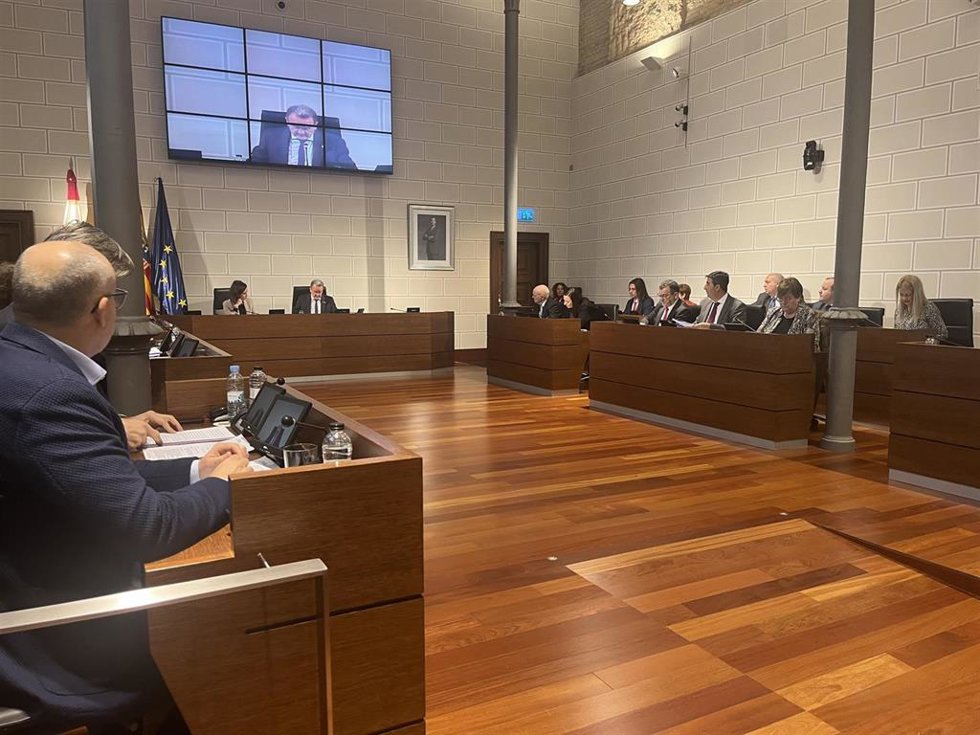 Pleno de la DPZ.