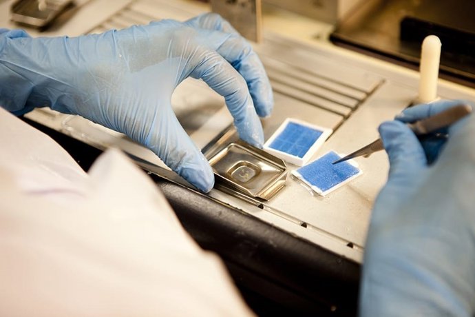 Investigación neurológica