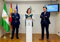Andalucía comparte las medidas de Darias ante el avance del Covid en China pero "afea" su anuncio unilateral