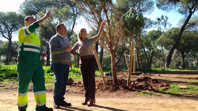 La alcaldesa, la socialista Ana Isabel Jiménez, y el delegado de Servicios Urbanos, José Antonio Montero, han visitado una de las últimas zonas de repoblación, junto al Hotel Oromana.